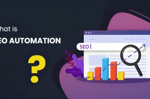 Top SEO Agency Bangalore