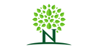 N – Brand Client of SEO in Bangalore