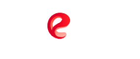 Total e-biz solutions